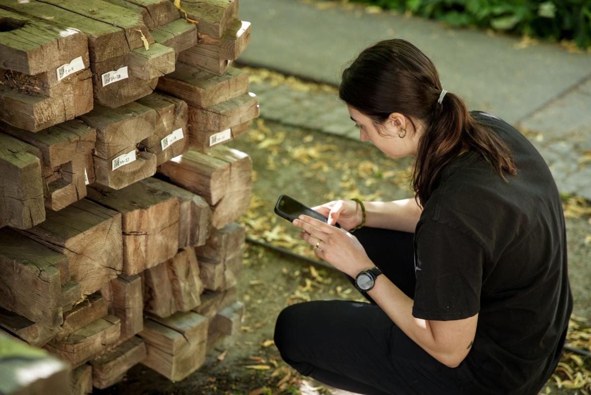 A member of the public scans QR codes from a pile of timber with their phone.
