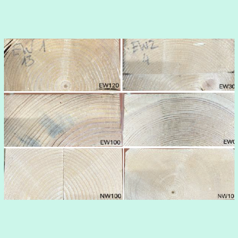 Example of the side view for each test specimen ID.